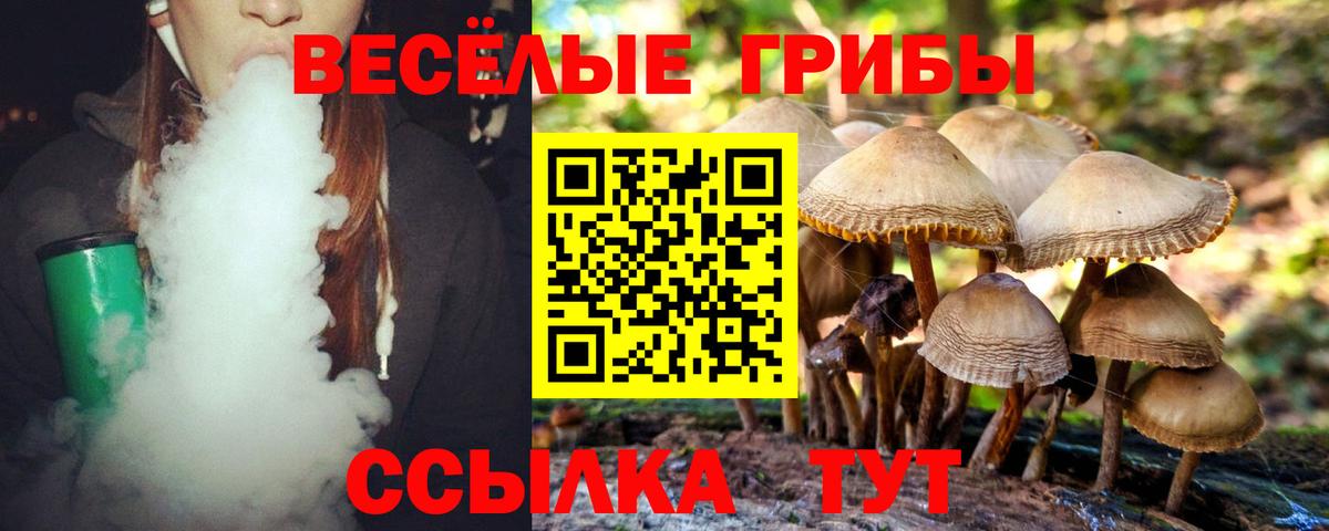 Галлюциногенные грибы ЛСД Новодвинск